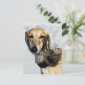 Saluki Portrait Briefkaart (Staand voorkant)