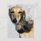 Saluki Portrait Briefkaart (Voorkant)