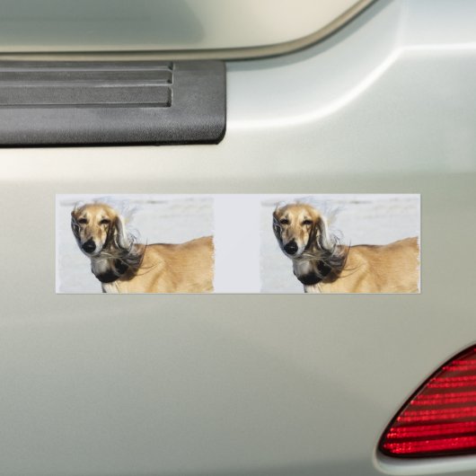 Saluki Portrait Bumpersticker (Op auto)