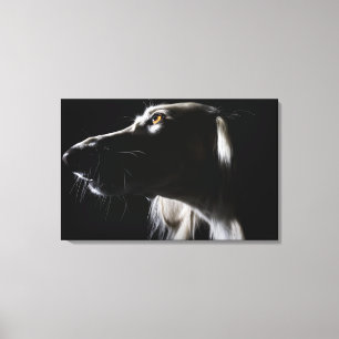 Saluki, portret canvas afdruk