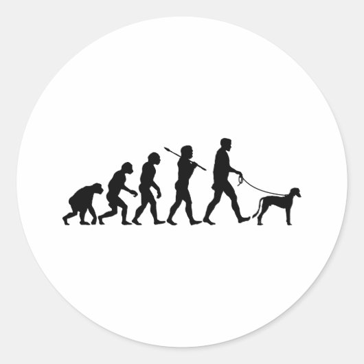 Saluki Ronde Sticker (Voorkant)