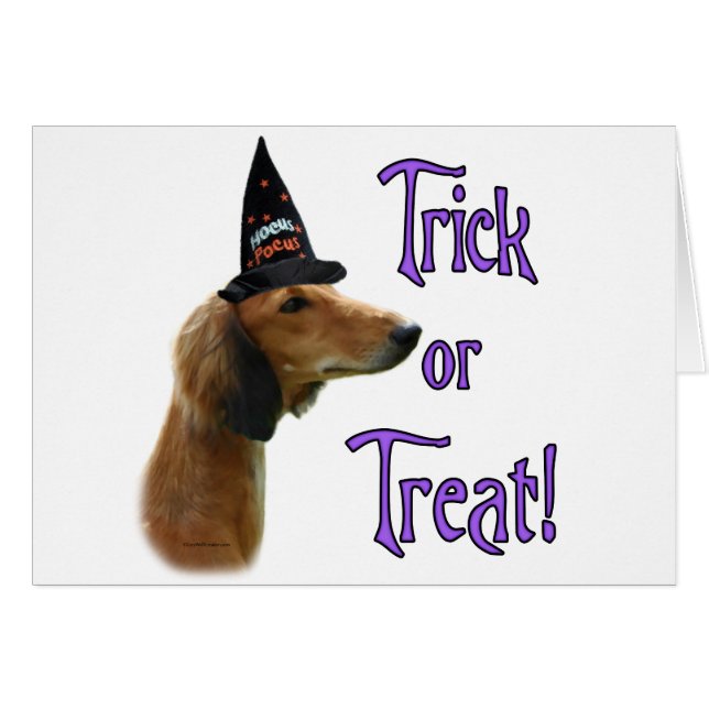 Saluki Trick (Voorkant Horizontaal)