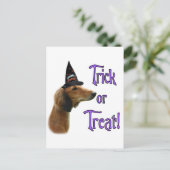 Saluki Trick Briefkaart (Staand voorkant)