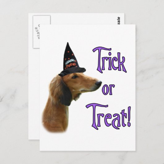 Saluki Trick Briefkaart (Voorkant / Achterkant)