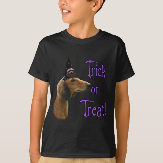 Saluki Trick T-shirt (Voorkant)