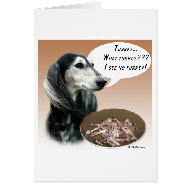 Saluki Turkije (Voorkant)