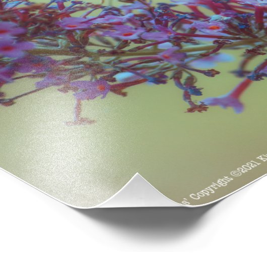 Salutaties Foto Afdruk (Hoek)