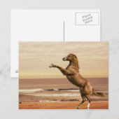 Saluut naar de ochtend briefkaart (Voorkant / Achterkant)