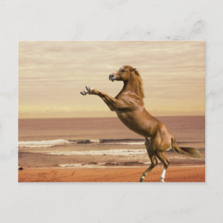 Saluut naar de ochtend briefkaart