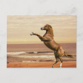 Saluut naar de ochtend briefkaart (Voorkant)