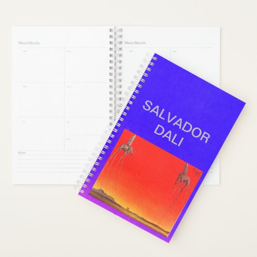 SALVADOR DALI PLANNER MET BIOGRAFIE (Display)