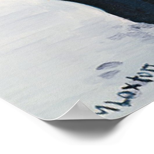 Salvation Army Band Poster (Hoek)