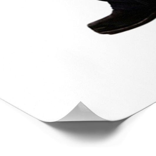 Salvatore Brothers Poster (Hoek)