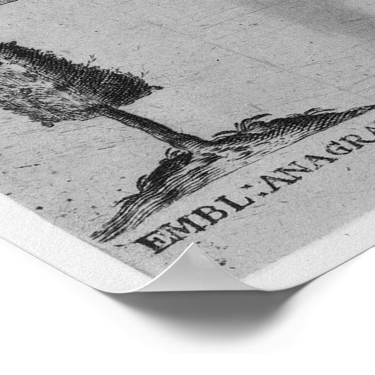 Salve Hieroglyphicum Votivum Latijnse Symbolen Ana Poster (Hoek)