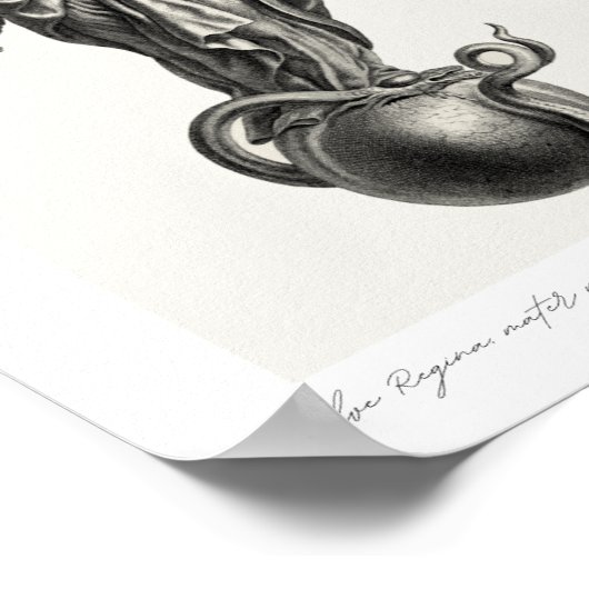 Salve Regina - Afdruk Poster (Hoek)