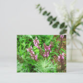 Salvia en Artemesia Briefkaart (Staand voorkant)
