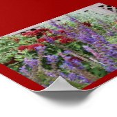 salvia en mums poster (Hoek)