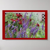 salvia en mums poster (Voorkant)