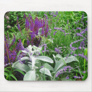Salvia, Lambs oor en Lavendar Muismat