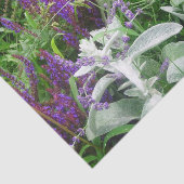 Salvia Lambs oor en Lavender Tissuepapier (Detail)
