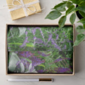 Salvia Lambs oor en Lavender Tissuepapier (Geschenk)