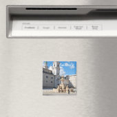 Salzburg, Oostenrijk Magnet (Insitu (Vaatwasser))