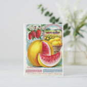 Salzer Watermelons Briefkaart (Staand voorkant)