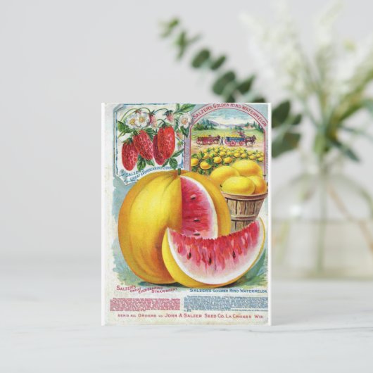 Salzer Watermelons Briefkaart (Staand voorkant)