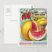 Salzer Watermelons Briefkaart (Voorkant / Achterkant)