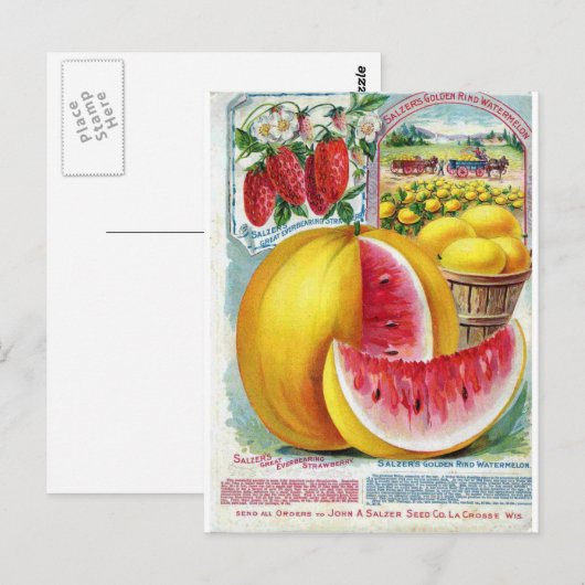 Salzer Watermelons Briefkaart (Voorkant / Achterkant)