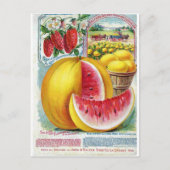 Salzer Watermelons Briefkaart (Voorkant)