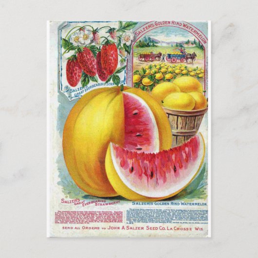 Salzer Watermelons Briefkaart (Voorkant)