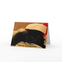 Sam by Chat'ventures-wenskaart