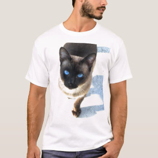 Sam, de Siamese kat T-shirt