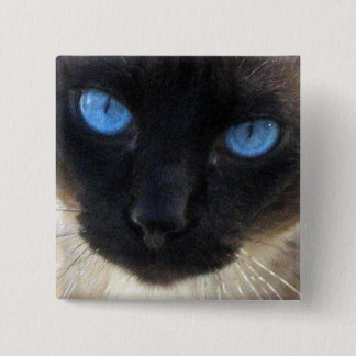 Sam de Siamese kat Vierkante Button 5,1 Cm