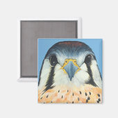 Sam, een Amerikaanse Kestral Magneet (Voorkant / Achterkant)