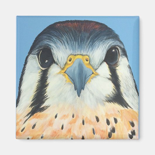 Sam, een Amerikaanse Kestral Magneet (Voorkant)