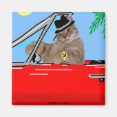 Sam Le Cat Baller Cat Magnet (Voorkant)