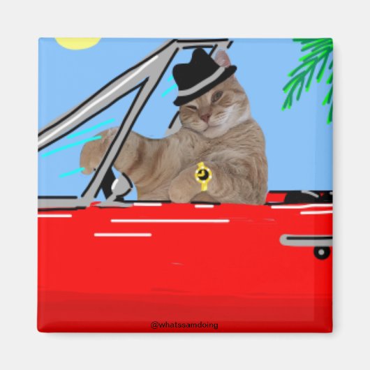 Sam Le Cat Baller Cat Magnet (Voorkant)