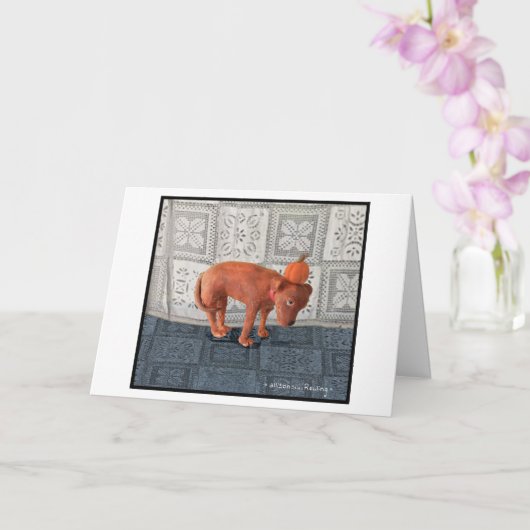 Sam met een Pompoen Kaart (Orchidee)