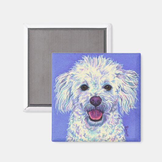 "SAM" - Poedel Mix Magnet (Voorkant / Achterkant)