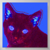 Sam Poster (Voorkant)