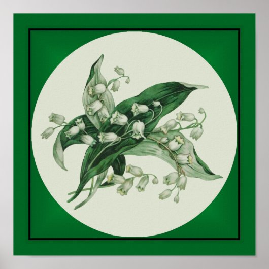 Samantha Lily 1 Poster (Voorkant)