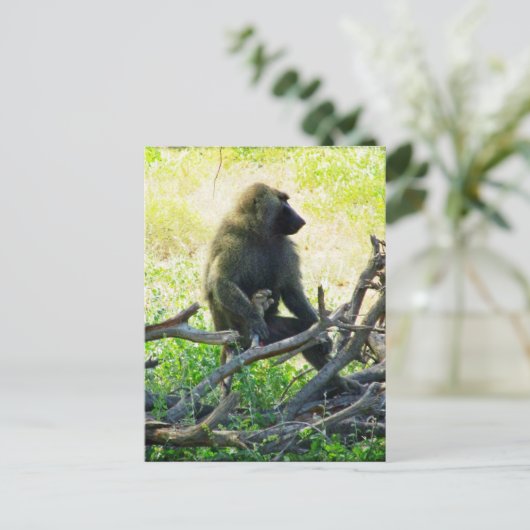 Samburu Baboon Briefkaart (Staand voorkant)