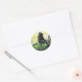 Samburu Baboon Ronde Sticker (Envelop)