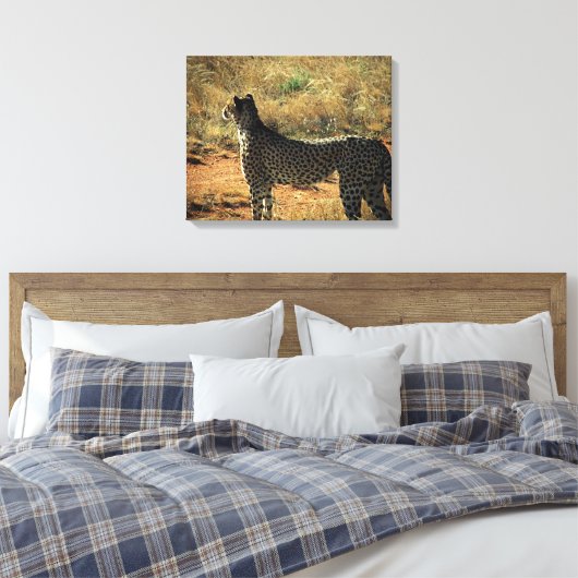 Samburu Cheetah Canvas Afdruk (Insitu (Slaapkamer))