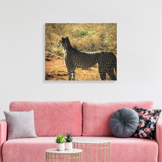 Samburu Cheetah Canvas Afdruk (Insitu (Woonkamer))