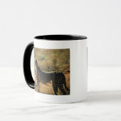 Samburu Cheetah Mok (Voorkant links)
