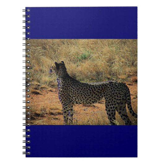 Samburu Cheetah Notitieboek (Voorkant)