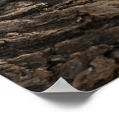 Samburu Game Reserve, Kenia, Vervet Monkey Poster (Hoek)